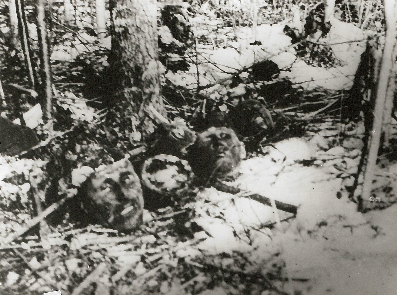 1944. Трупы военнопленных, которые были заживо похоронены нацистами в лесу