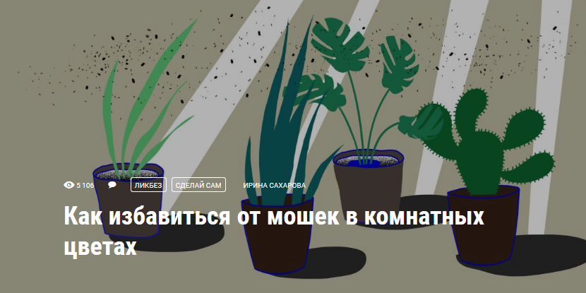 Я спаслась от цветка 23. От мошек в комнатных цветах. Средство от мошек в земле комнатных растений. Мошки в цветочных горшках как избавиться. Мошки вылетают из горшка с цветком.