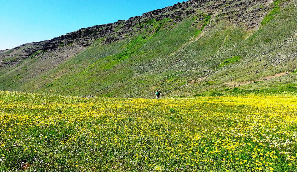 Самые впечатляющие и изнурительные туристические тропы Путешествия,фото