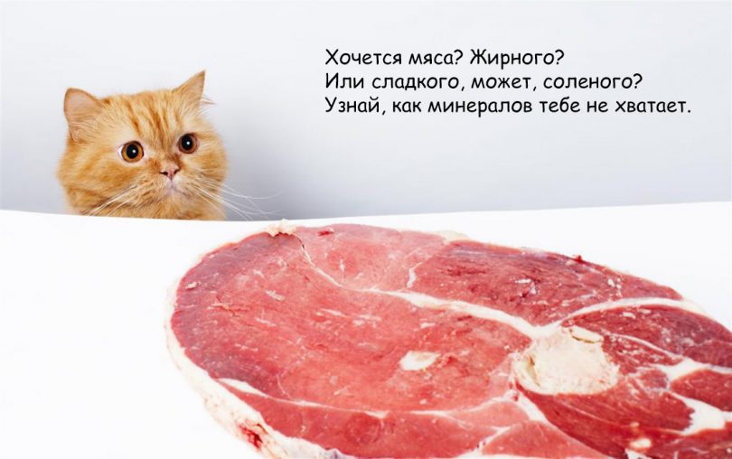 Чего организму не хватает, если хочется определенный продукт