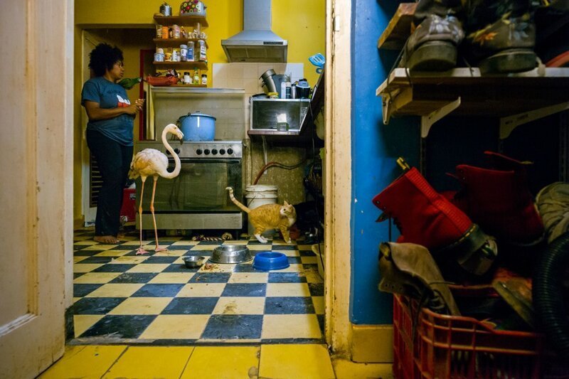 В Лондоне объявлены победители премии Sony World Photography Awards 2019 В Лондоне объявлены победители премии Sony World Photography Awards 2019 фотография