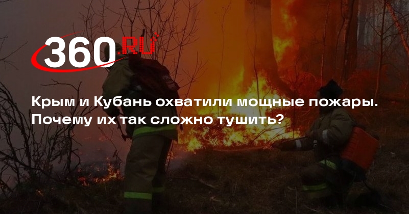 Глава противопожарного проекта Куксин: источник лесных пожаров всегда человек