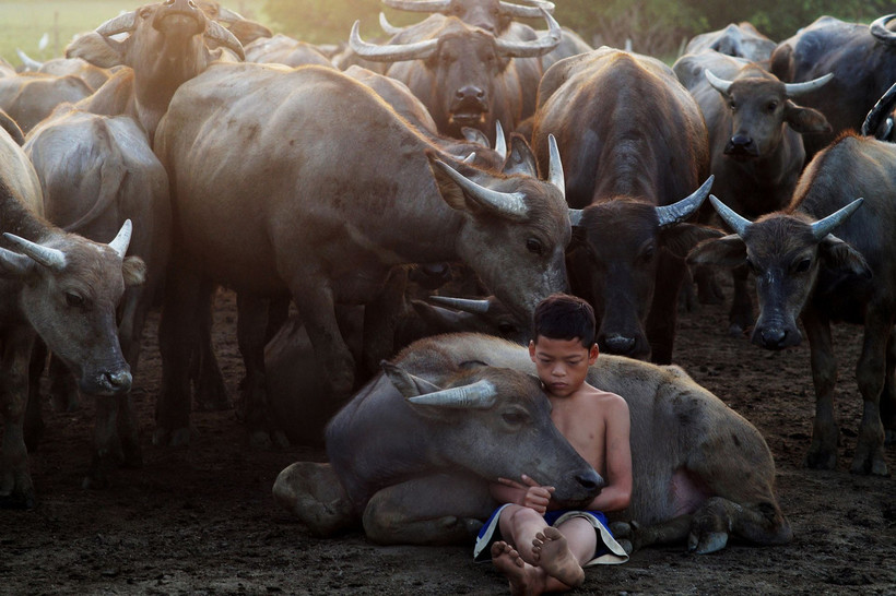 Фантастические победители международного конкурса Siena International Photo Awards 