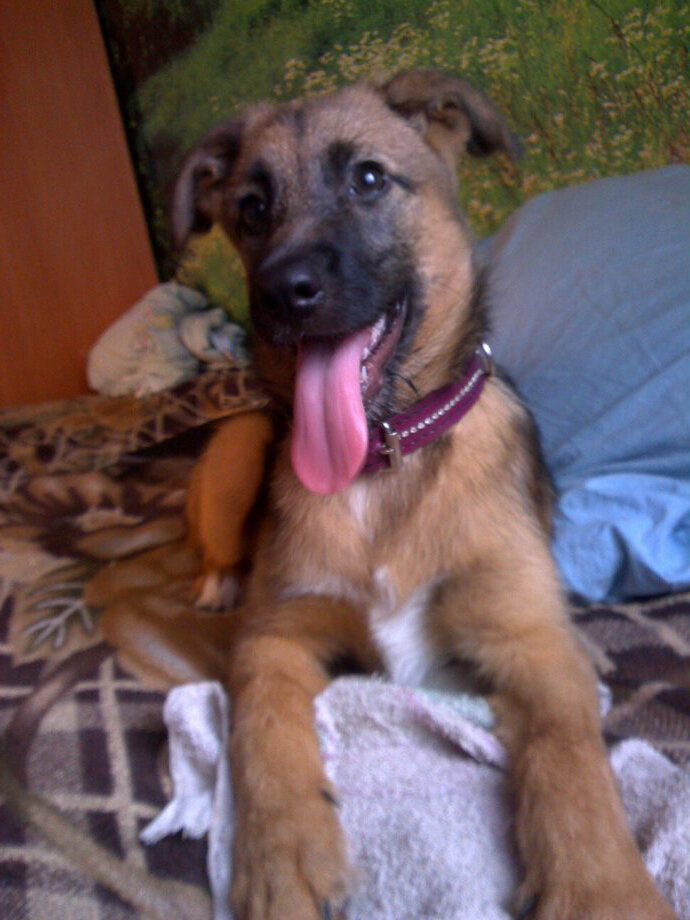 Счастья полные штаны