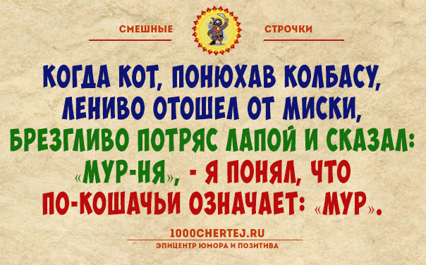 Если черная кошка перебежала дорогу в Москве, то ей крупно повезло анекдоты,веселые картинки,приколы,Хохмы-байки,юмор