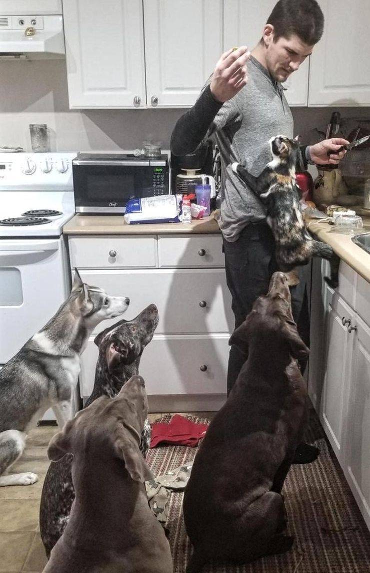 Странное, необычное и смешное... девушки