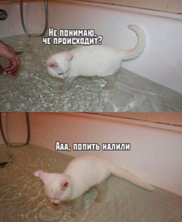 Юмор из интернета 680