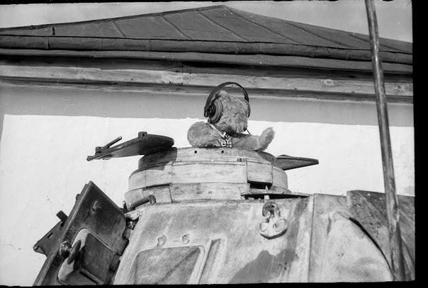 Льгов. Курская область. РСФСР. СССР. Зима 1942 года. история, события, фото