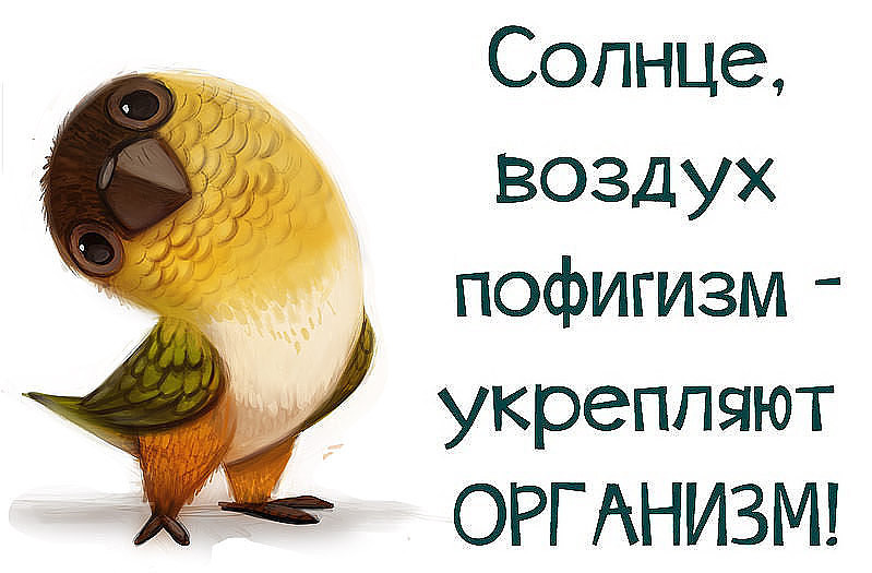 Картинка с надписью пофигистка, открытка огромное
