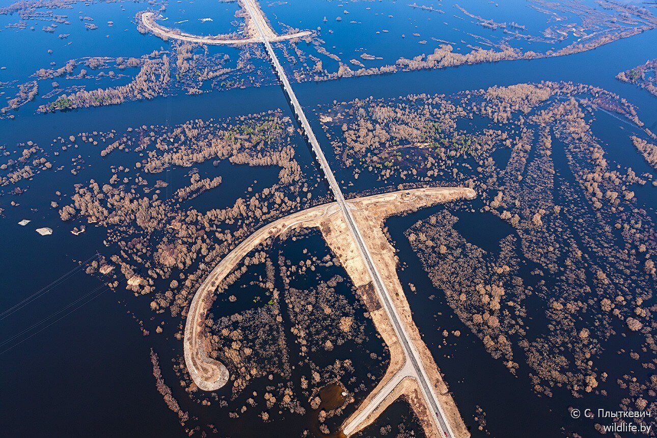 Белорусская «Амазония» удивила иностранцев заграница,путешествие,туризм