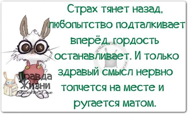 Позитивные фразочки в картинках :) 