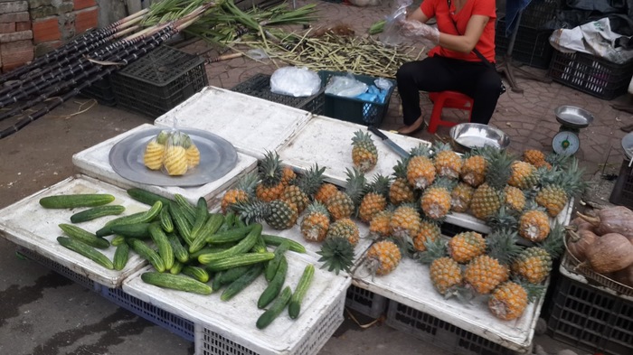 Вьетнамский рынок Вьетнам, Путешествия, Еда, Необычная еда, Мат, Длиннопост