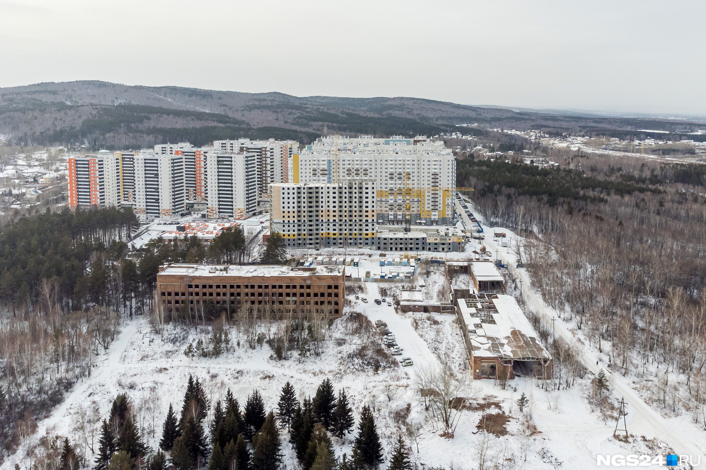 Ветлужанка красноярск купить