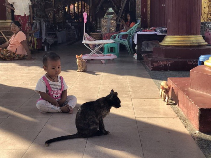 Фотоподборка вторника 27 ноября Фотоподборка вторника 27 ноября