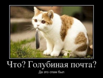 Жизненные демотиваторы со смыслом из сети веселые демотиваторы девушки,зачетные демотиваторы до слез,свежие демотиваторы ржака