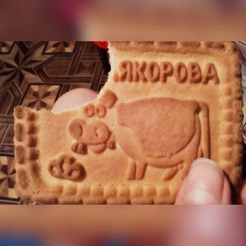 Если случайно обнаружила за вечерним чаем знаки судьбы, намеки, смешно, смешные картинки, юмор