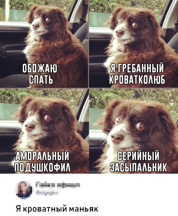 Смешные картинки с подписями Смешные картинки с подписями картинки