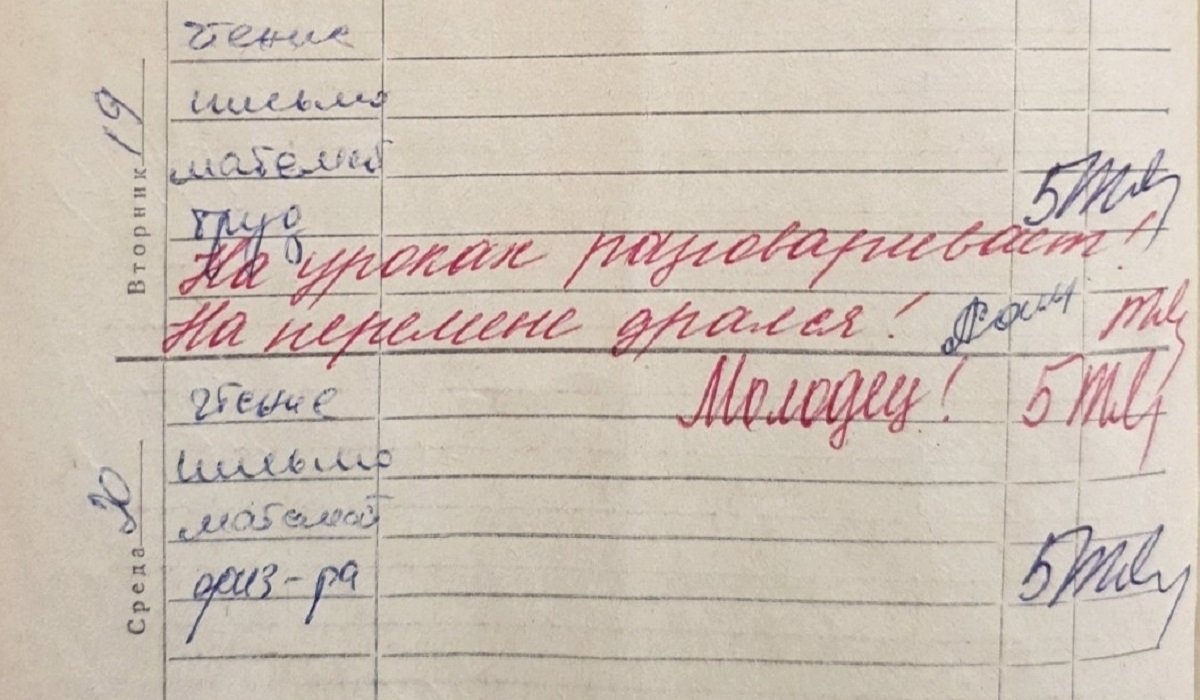 Умом училку не понять, или Нелогичные учительские замечания дневник,записи,юмор