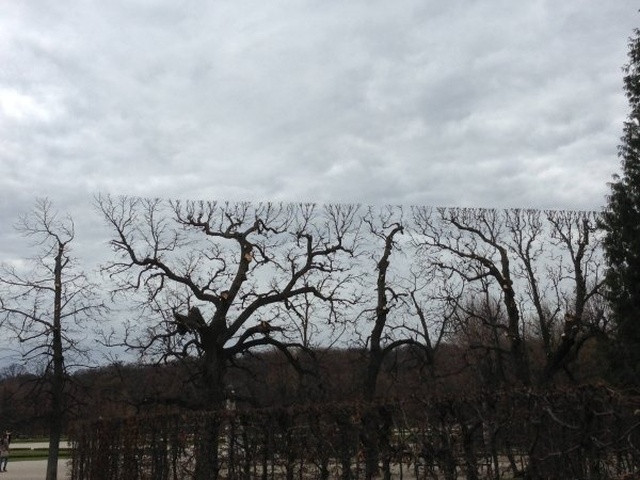 Невероятные фотографии в которые стоит присмотреться не один раз Невероятные фотографии в которые стоит присмотреться не один раз