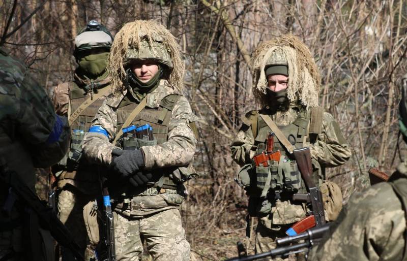 «Твердые гарантии войны»: о каком «нейтралитете» мечтают в Киеве Политика
