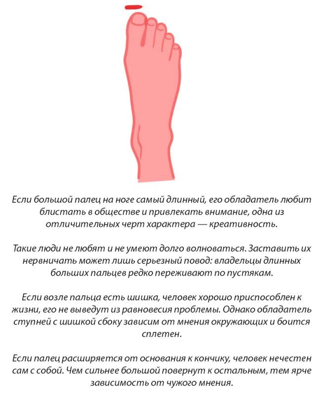 Что означает нога на ногу у мужчин. Форма пальцев на ногах. Форма пальцев стопы. Длина пальцев на ногах.