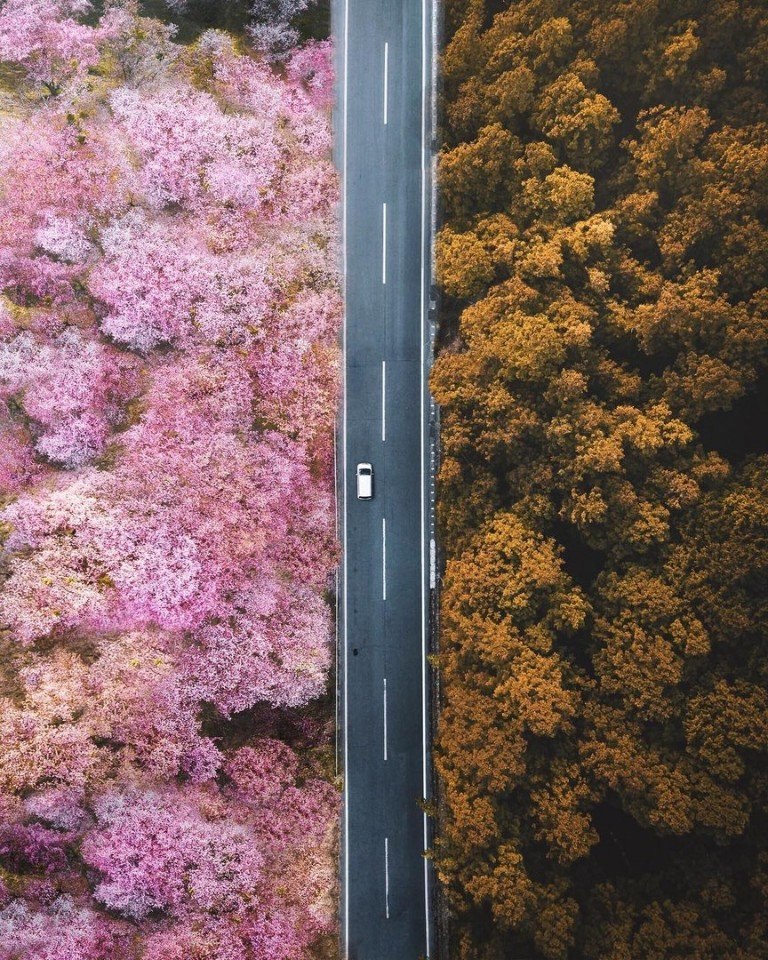 Позитивные фотографии и красивые картинки из сети красивые фотографии,прикольные картинки,шикарные фотографии