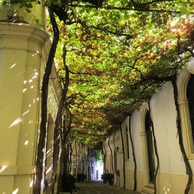 Креативные идеи, которые улучшают нашу жизнь 