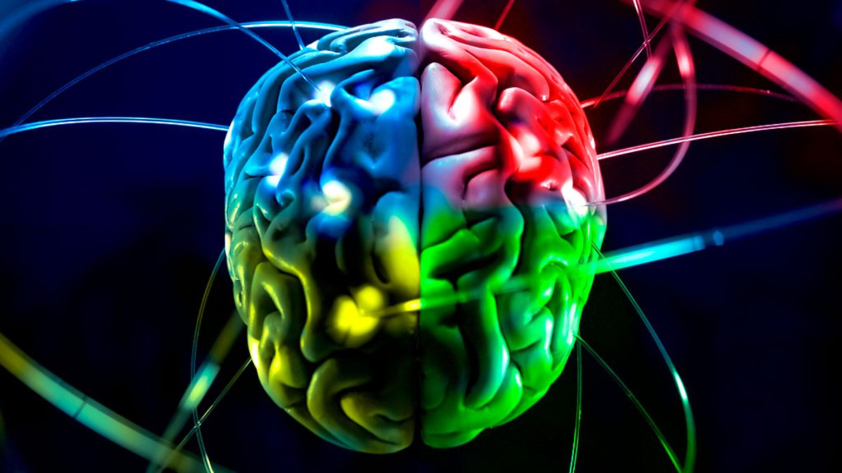 «Мысли шире»: ловушки мозга, которые мешают нам думать, и способы их избежать мозг,мышление,наука,организм,психология,человек