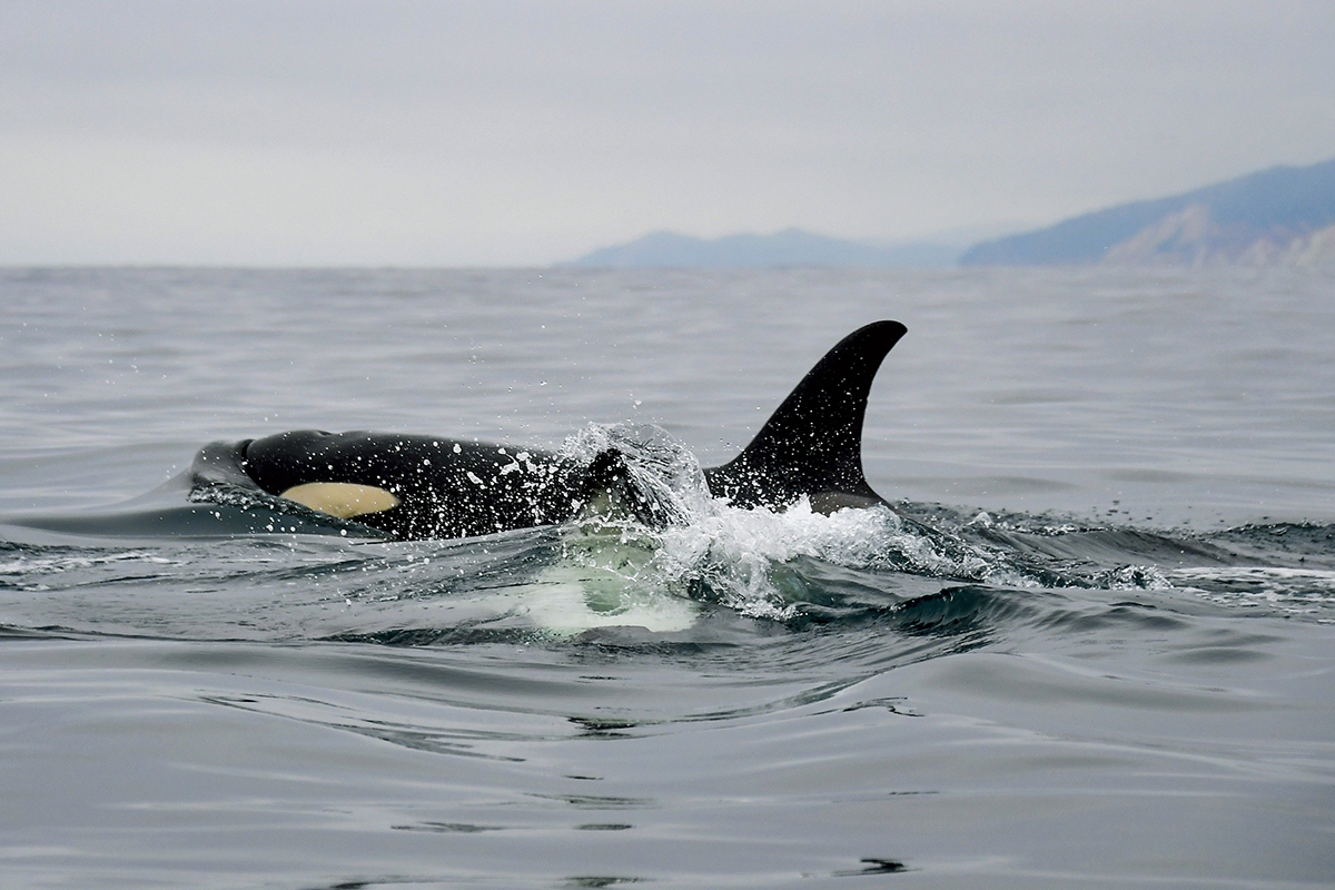 © Юрий Смитюк/ТАСС