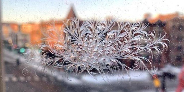 Подборка прикольных и забавных фотографий Подборка прикольных и забавных фотографий