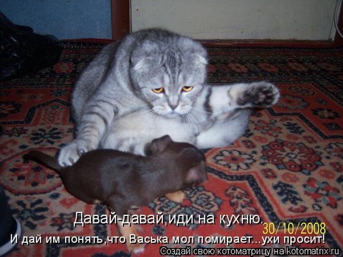 Мысли вслух :)