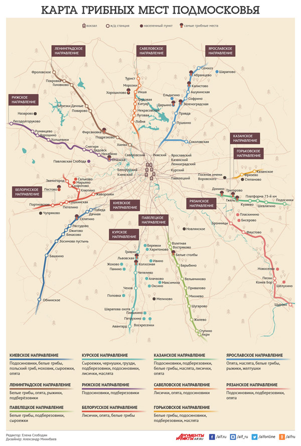 Где собирать грибы в Подмосковье, грибные места Подмосковья, где искать грибы, грибы в Московской обалсти, карта грибных мест Подмосковье, карта грибы Московская область, грибы в Московской области, грибные места на карте