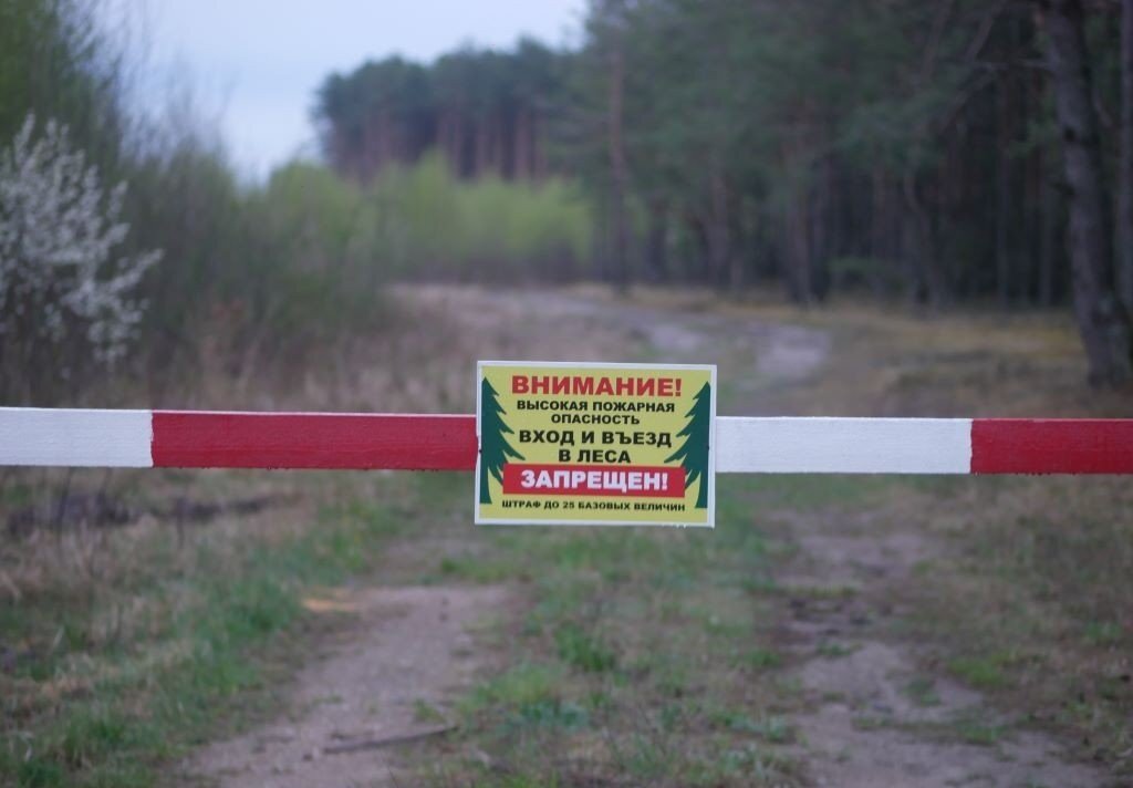 Штраф за въезд на автомобиле в лес в 2021 году въезд, такие, машине, лесных, может, рублей, ограничения, правило, действия, действующих, законодательство, ограничений, автомобилей, должны, всегда, стоит, отправляются, штраф, тысяч, многие