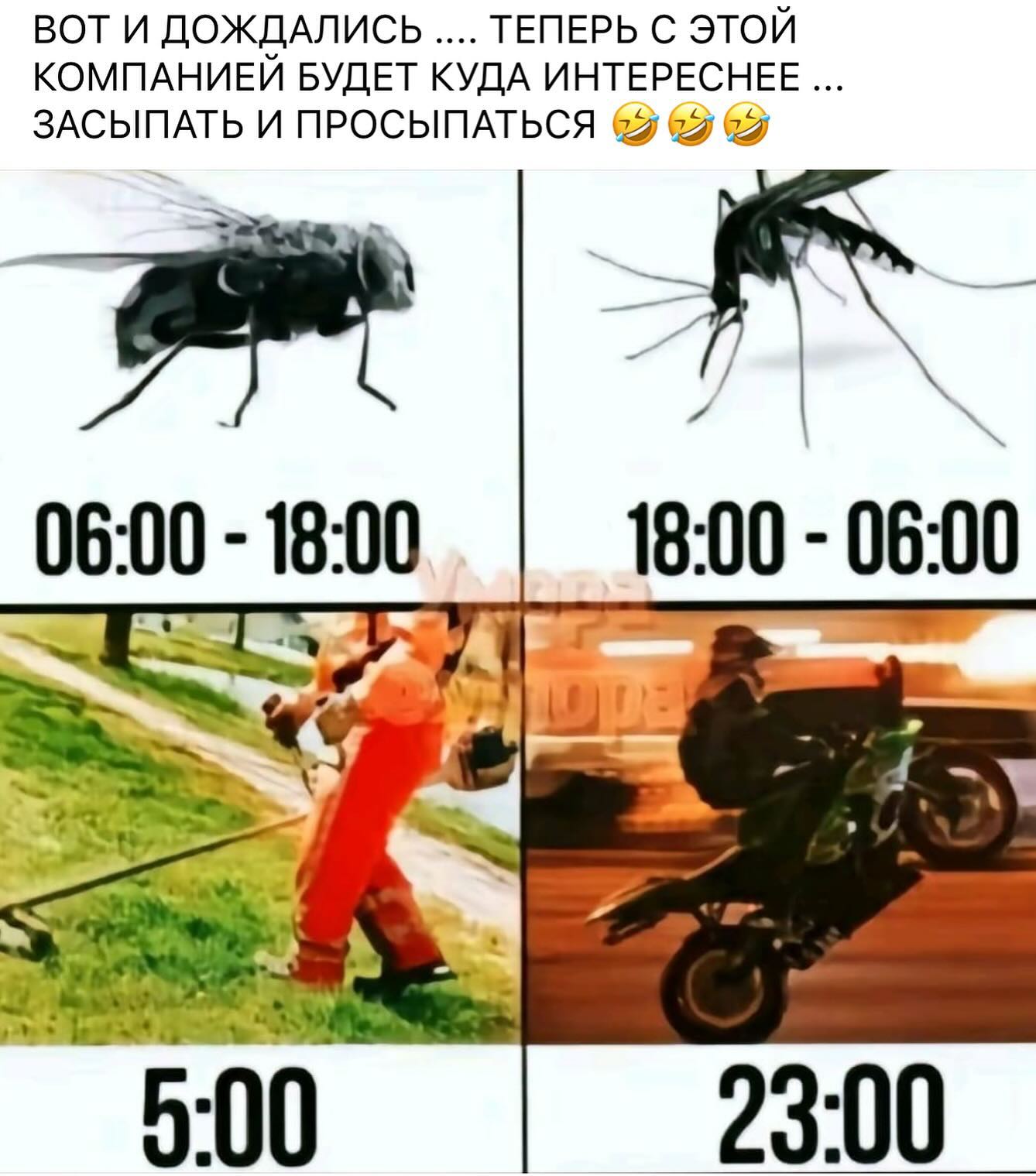 Лень в молодости - это здоровье в старости Лень в молодости - это здоровье в старости