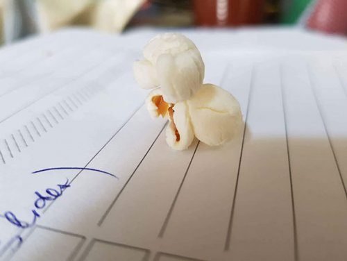 Забавные фотоиллюзии Забавные фотоиллюзии