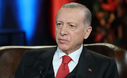 Восточный базар Эрдогана: Швецию — в НАТО, если Турцию — в ЕС геополитика