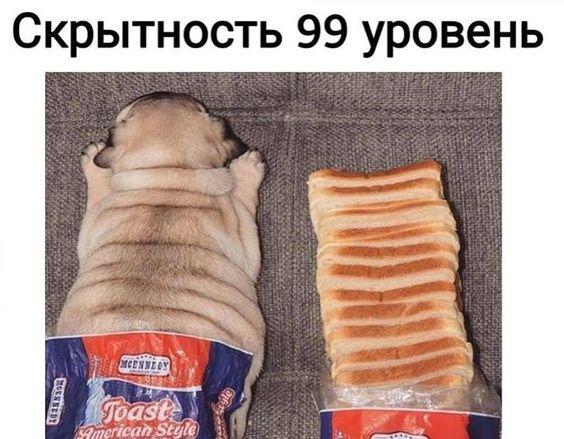 Подборка супер прикольных картинок Подборка супер прикольных картинок