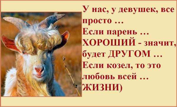 Современные парадоксы: когда реальность смешнее анекдота