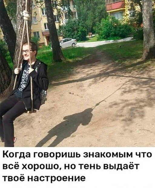 Смешные и познавательные картинки