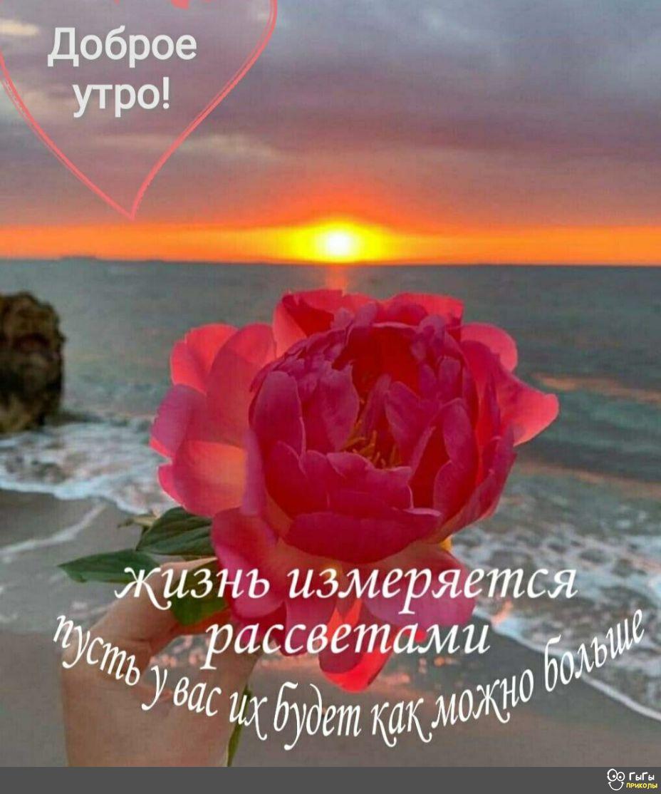 Классная подборочка юмора