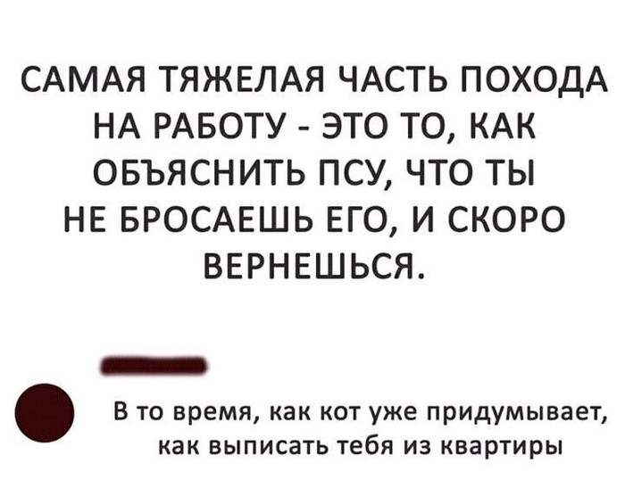 17 разрывных анекдотов для отличного настроя. Позитив на весь день!