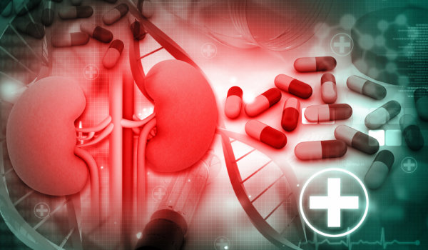 Мифы и факты о камнях в почках, которые вы должны знать»/></p>
<h2>Миф 4: Камни в почках исчезают с помощью лекарств</h2>
<p><b>Факт:</b> у небольшого процента пациентов, когда камни состоят из цистин или мочевая кислота, лекарства могут быть использованы для растворения или предотвращения образования камней. Большинство камней состоят из оксалата или фосфата кальция, а это означает, что лекарства не могут их растворить. Если они небольшие, их можно смыть, но если они большие, необходимо лечение. </p>
<h2>Миф 5: пациентам с камнями в почках нельзя есть помидоры</h2>
<p><b>Факт:</b> следует избегать помидоров, если уровень калия в крови высок. В противном случае помидоры и другие овощи с семенами можно есть в умеренных количествах.</p>