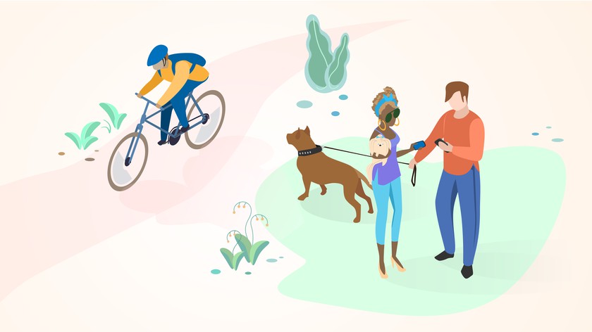 Бойцовые породы: за и против содержания таких собак в квартирах наши любимцы,полезные советы