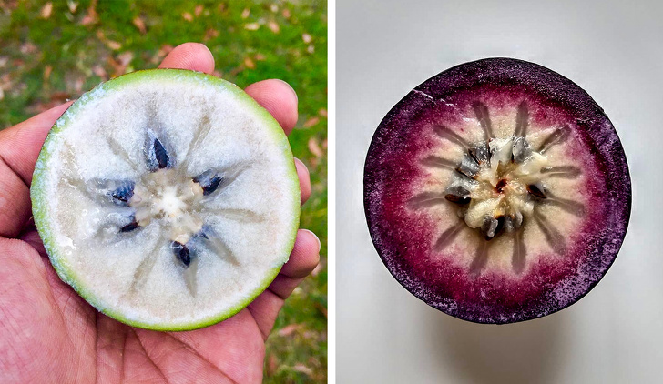 16 редких экзотических фруктов, которые вы увидите в первый раз 16 редких экзотических фруктов, которые вы увидите в первый раз страны,туризм