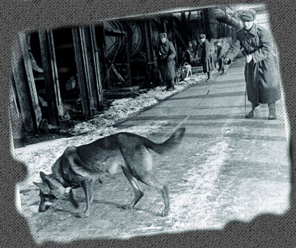 История пса Джульбарса 