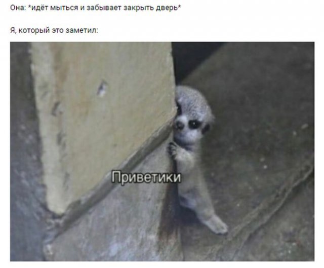 Мемы и приколы про отношения и "кое-что" еще Мемы и приколы про отношения и "кое-что" еще позитив,смешные картинки,юмор