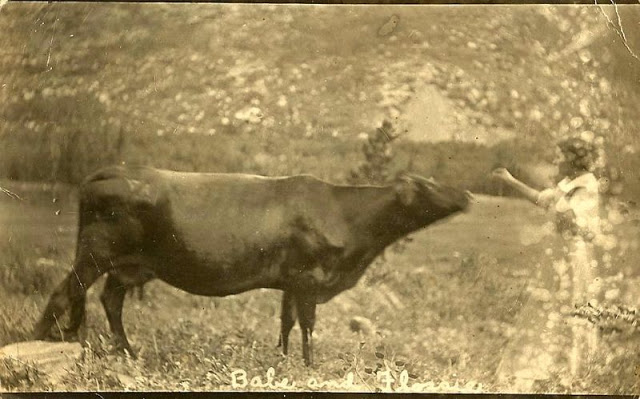 Дружба животных и людей на фотографиях 19 века