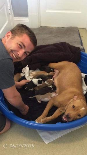 Собака не оставила собственных детей, когда хозяева выкинули их из дома истории из жизни