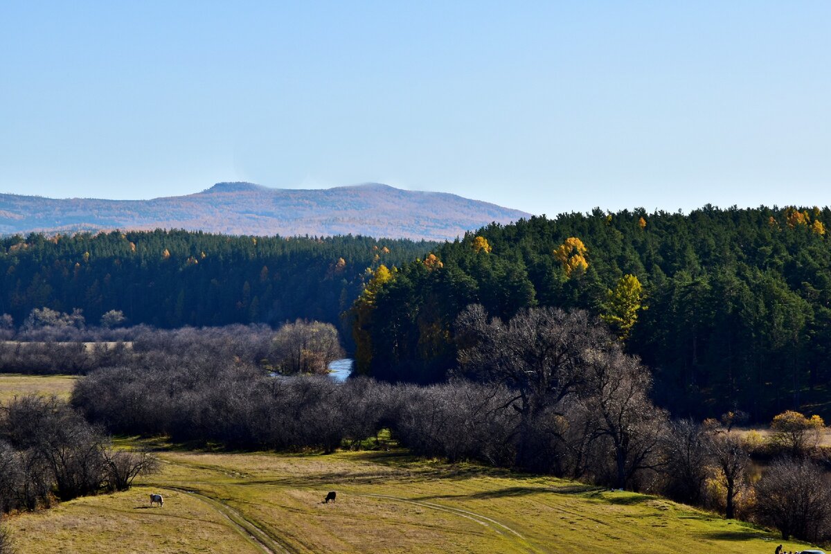 Фото автора