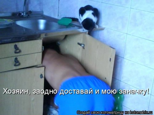 Лучшая котоматрица недели Лучшая котоматрица недели позитив,смешные картинки,юмор